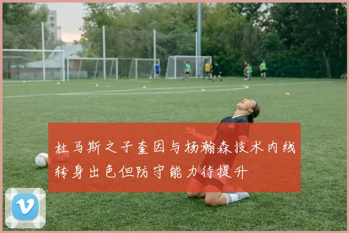杜马斯之子奎因与杨瀚森技术内线转身出色但防守能力待提升